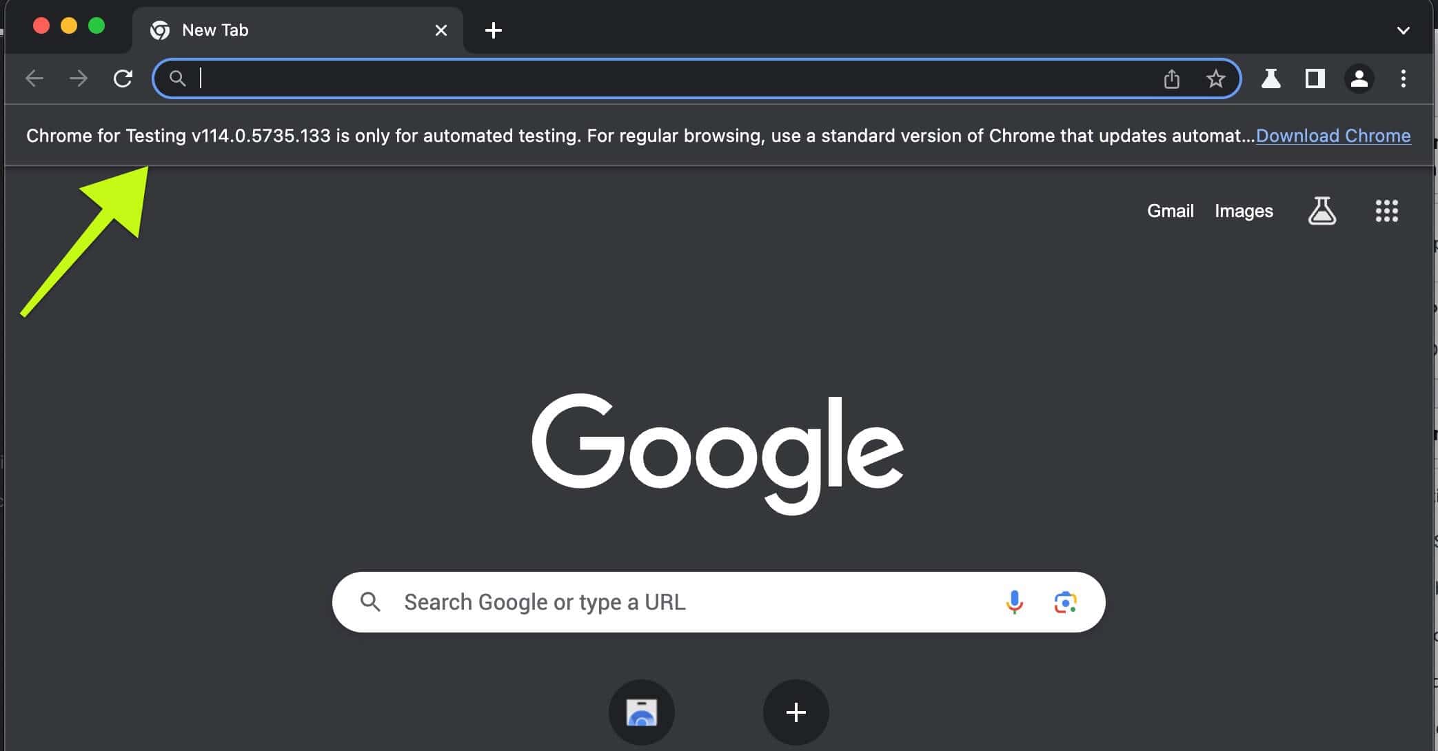 Chrome for Testing Browser