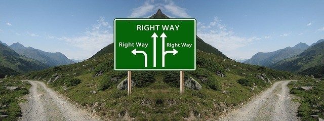 What Selenium Programming Language You Should Learn